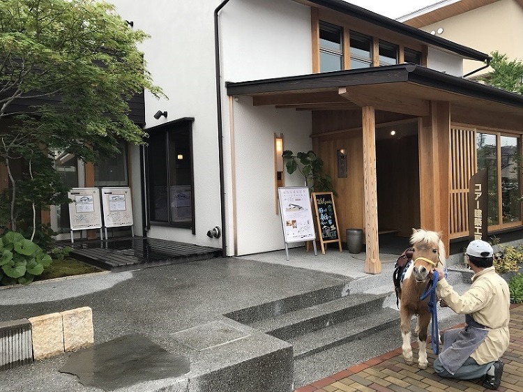 深井展示場に可愛い〇〇が来場しました！！ | 大阪の注文住宅、木の家の...