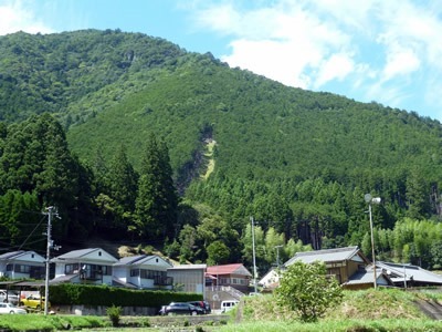 森林への期待 | 大阪の注文住宅、木の家の工務店コアー建築工房