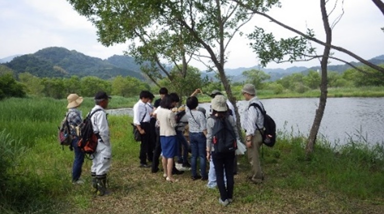 遊水地がグリーンインフラで多機能化 | 日経クロステック（xTECH）