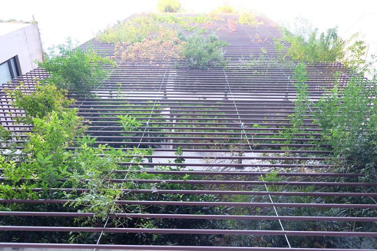 東京都内の建築が素敵な「お寺」建築まとめ | トーキョー建築トリップ