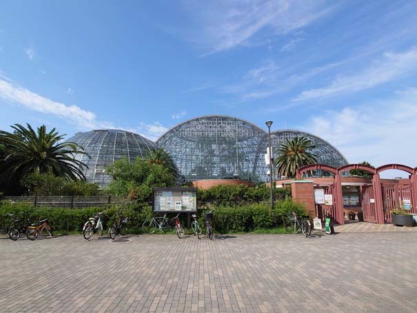 新木場「夢の島熱帯植物園」その知られざる名建築を徹底レポート | トー...