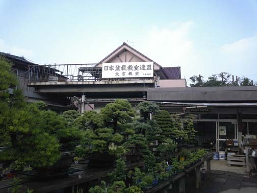 大宮「盆栽村」建築好きが巡る盆栽の聖地ツアー | トーキョー建築トリッ...