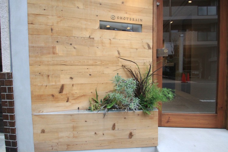 SHOT BRAIN | green + garden tamansa...