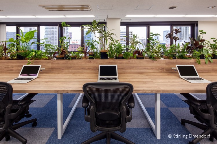 NTT SMILE ENERGY | green + garden t...