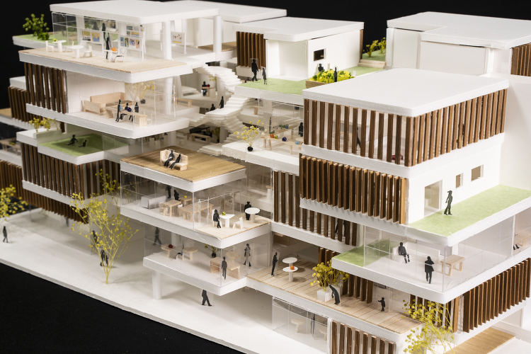 Daikanyama Tree | SELECTION | STUDI...