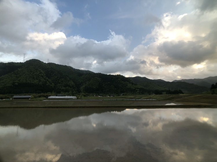 美山の水田、まるで水鏡のようです｜中庭のある家 コラム