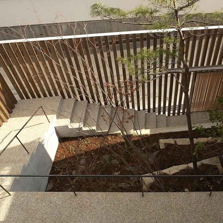 魅力ある中庭のある家づくりポイント17｜水谷嘉信建築設計事務所｜中庭の...