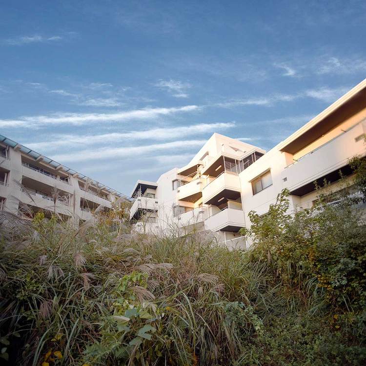 長らく放置された土地、 新たな視点で甦らせれるのか!|水谷嘉信建築設計...