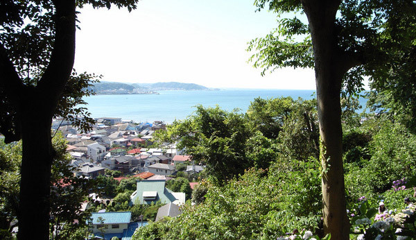 完成!ドリームハウス「鎌倉の家スペシャル」山と海、伝統的工法に注目!(...