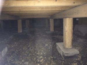 梅雨 シロアリ 日の出組ブログ