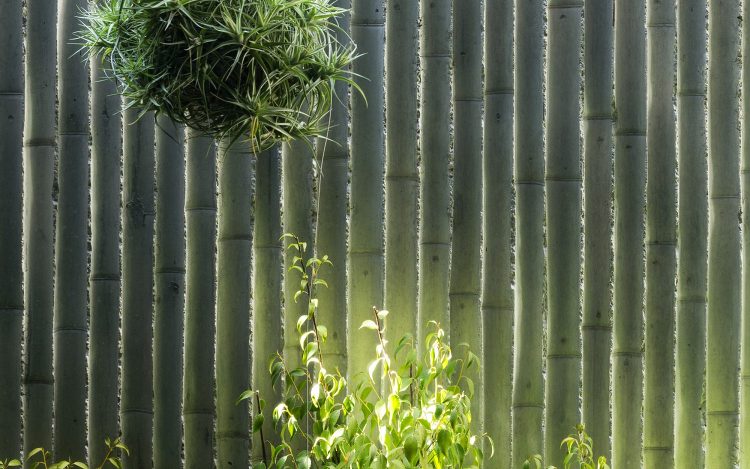 南青山のヒ?ル | LOVE ARCHITECTURE INC. | ...