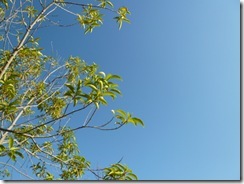 秋の空 ”快晴”‥美しき日本人(縁) | 大阪の注文住宅、木の家の工務...