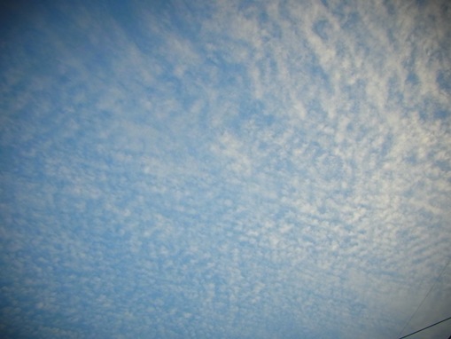 岸和田市Ｓ邸 完成見学会 | 大阪の注文住宅、木の家の工務店コアー建築...