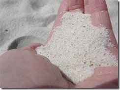 白良浜 | 大阪の注文住宅、木の家の工務店コアー建築工房