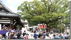 ふとん太鼓 百舌鳥八幡 | 大阪の注文住宅、木の家の工務店コアー建築工...