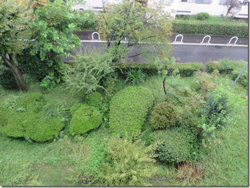 堺市北区 マンション大改造 ”調査実施” | 大阪の注文住宅、木の家の...