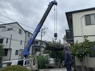 庭石 徹去 再利用 庭を通じて日々想う事。