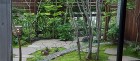 実例:雑木の庭