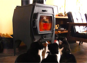 猫とシガータイプストーブ